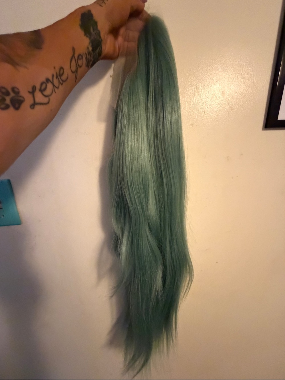 Sea foam Green lace front wig by Catface 30 inches BTWT